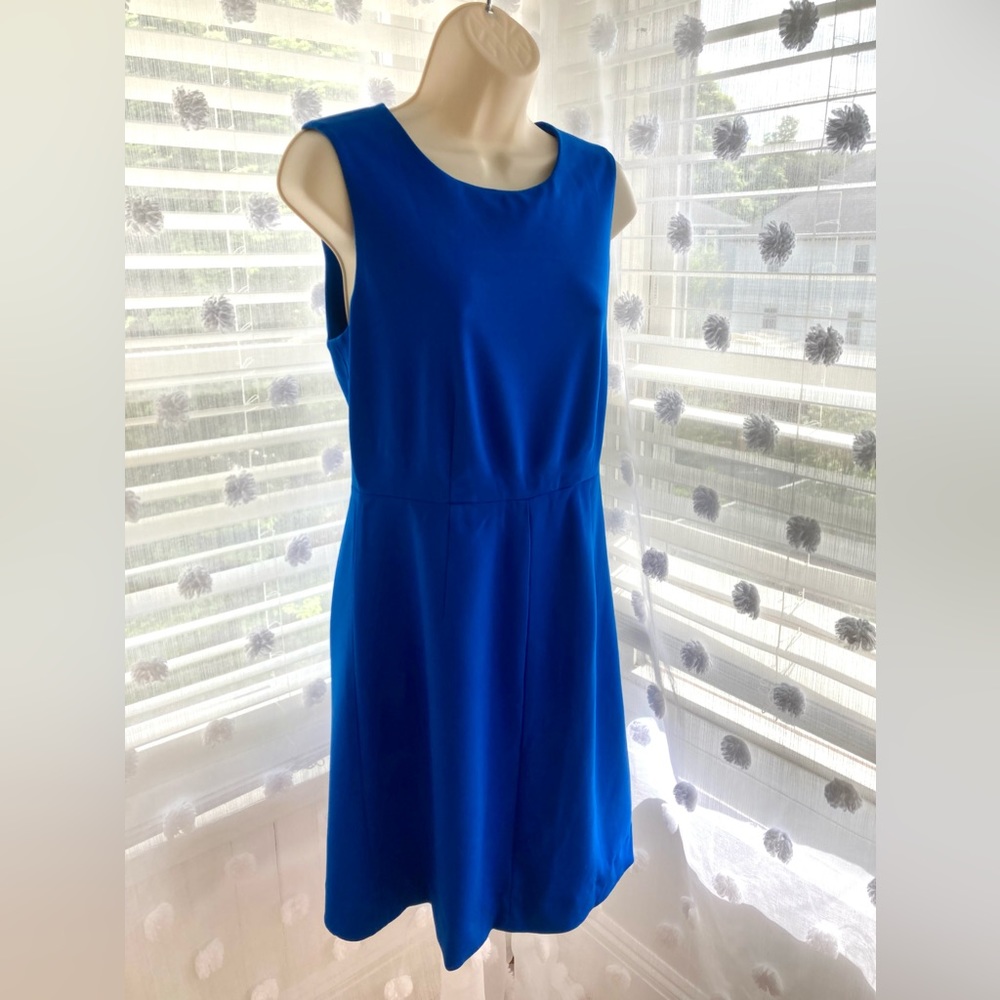Diane Von Furstenberg Bold Blue Aline Knee Length Dress.